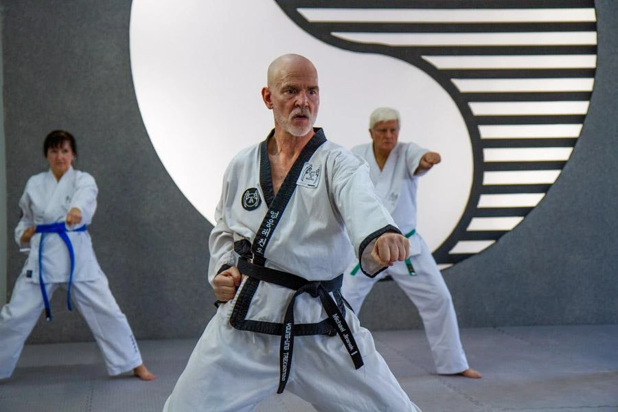 Taekwondo Anti-Aging-Programm: Senioren trainieren gemeinsam Fauststöße in einem modernen Kampfsportstudio.