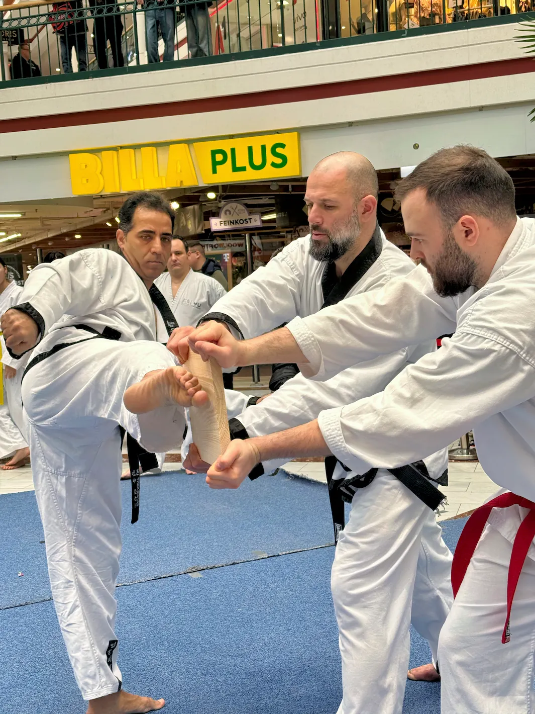 Taekwondo Senioren Turnier: Ein Sportler zerschlägt ein Holzbrett beim Bruchtest während eines Liga-Wettkampfs.