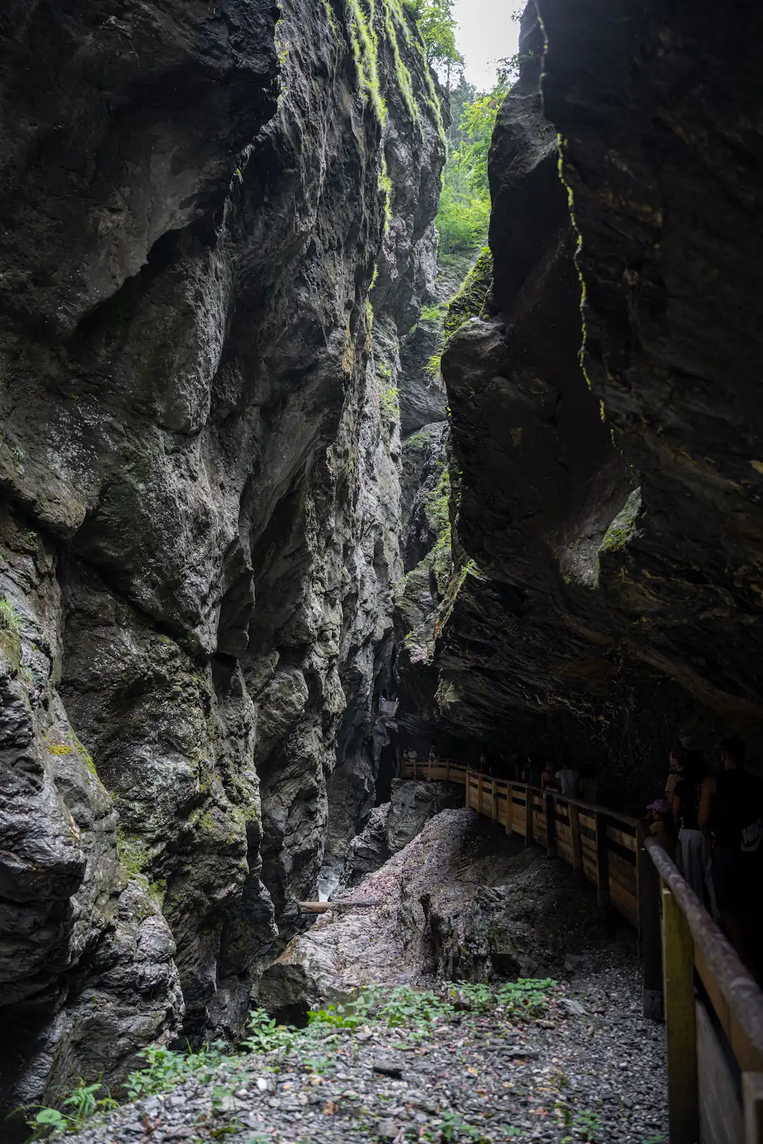 Taekwondo Retreat: Wanderung durch eine beeindruckende Klamm als Teil des Outdoor-Trainingslagers.